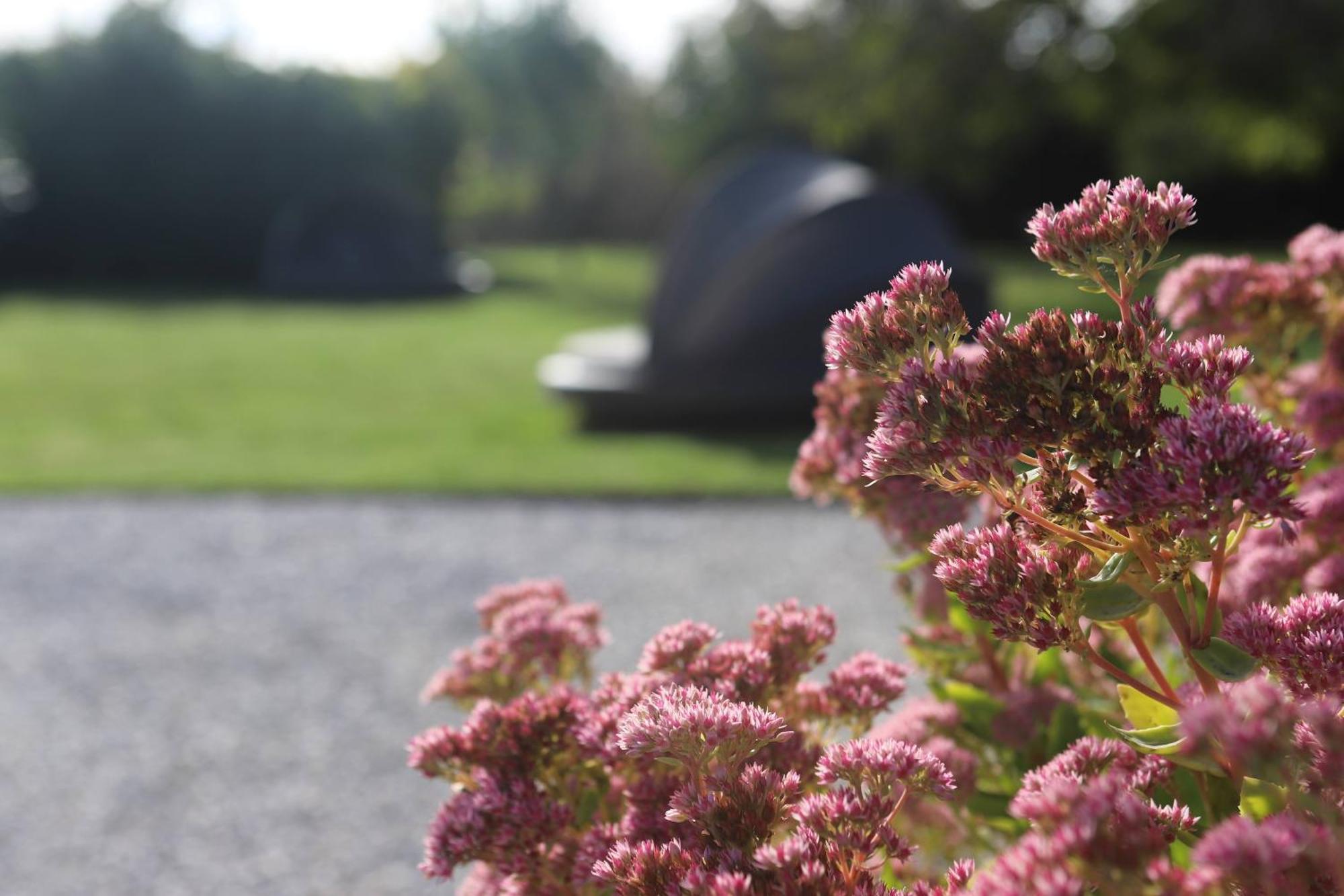The Secret Garden - Keszthely Bed and Breakfast Buitenkant foto
